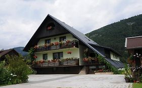 Apartments Zorc